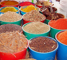 tours-excursions-in-mombasa-kenya