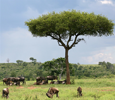 kenyas-breath-taking-landscape